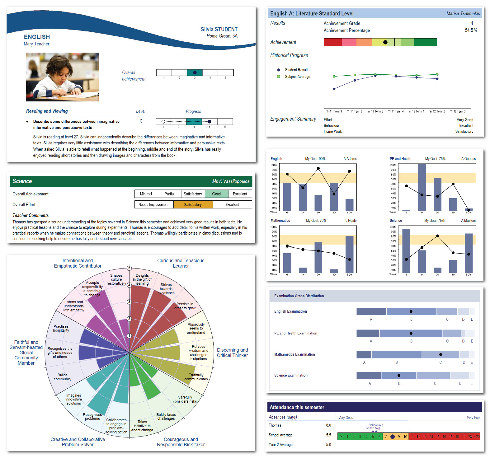 accelerus report examples